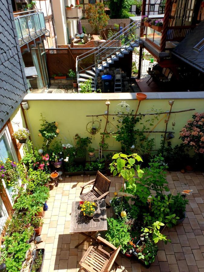 Ferienwohnung Goldstr.7 كيدلينبورغ المظهر الخارجي الصورة